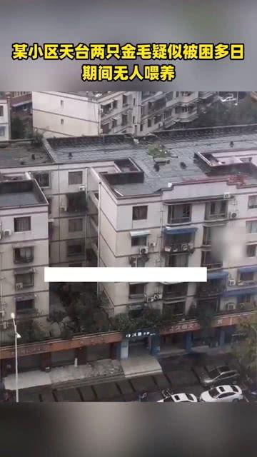 温江网友爆料视频